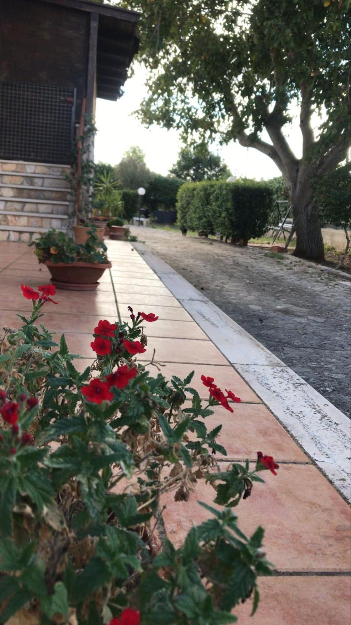 Villa Marida Gioia Del Colle Dış mekan fotoğraf
