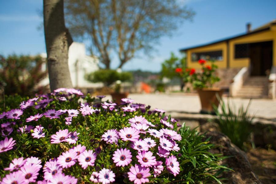 Villa Marida Gioia Del Colle Dış mekan fotoğraf