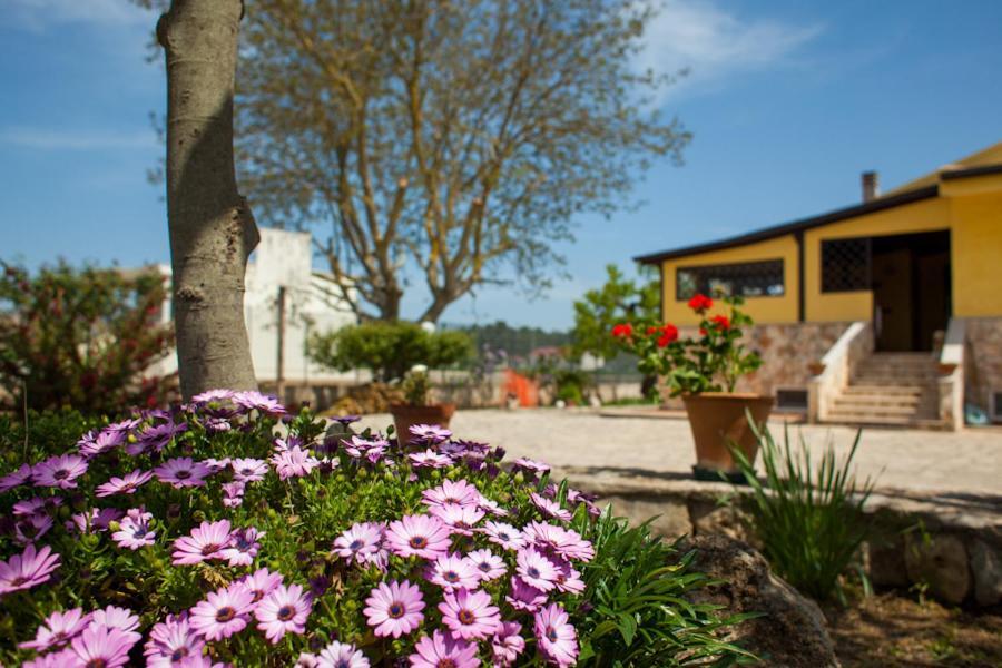 Villa Marida Gioia Del Colle Dış mekan fotoğraf